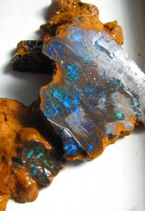 Boulder Opal Rough