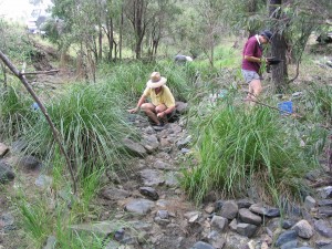 Gold fossicking Kilkivan3